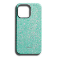 Leather Case Lagoon for iPhone 13